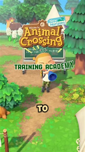 Elevate Custom Path Codes in Animal Crossing