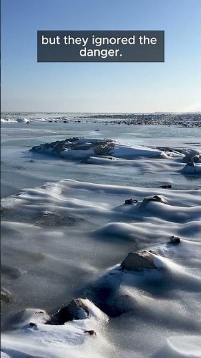 The Arctic Expedition That Defied All Common Sense #arctic