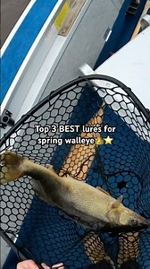 Best lures for spring walleye #fishing #viralshort #viralvideo #funny #relatable #facts #lol #real