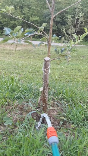 Radovane vrije voda 😂 | Saša Gajić