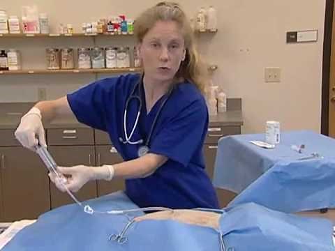 Chest tube placement Dog/ CPE