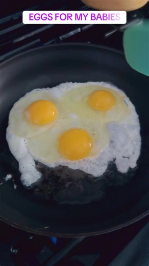 Eggs for My Babies: A Heartwarming Family Meal