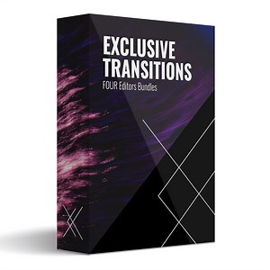 Exclusive Transitions