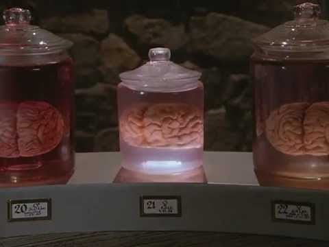 Steve Martin I like You (The Man with Two Brains)