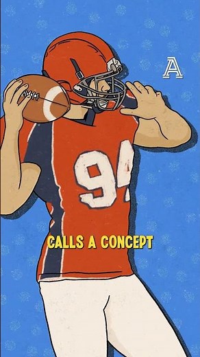 What's in an NFL playbook?