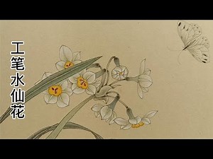 Chinese fine brush painting - Daffodils