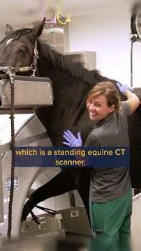 A Minute with Mark: All Species Imaging Center