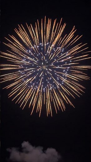 8 inch firework display shell (BEAUTIFUL)