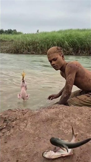 Amazing Big Best Fish Hunting On The River Site Place By Hands