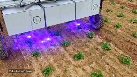 Impressive in situ shot of Earth Rover robot CLAWS effectively targeting weeds as small as 1mm thanks to its start-stop system and AI weed and meristem detection technology! Video source: Earth Rover #engineering #technology #agritech #agriculture #weeding #artificialintelligence #robot -------------------------------- Want to share your company's tech on Wevolver? Wevolver is a platform used by millions of engineers to stay up to date about the latest technologies. Learn how you can share your 