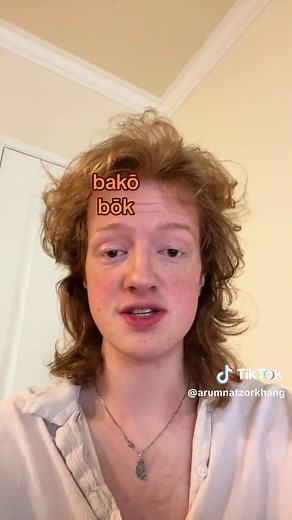 Why is the past form of ‘bake’ ‘baked’ and not ‘book’? Explaining proto germanic strong verbs. #linguistics #language