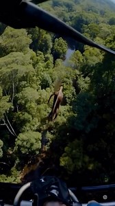 BREAKING Leaked military footage shows U.S. forces chasing a mysterious alien creature deep in the Amazon jungle. Locals report strange lights, power blackouts, and government drones blocking access | Remarkable Discoveries