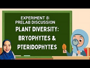 Pre Lab Experiment 8: Plant Diversity, Bryophytes & Pteridophytes