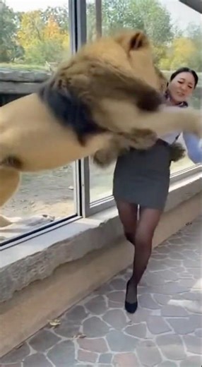 【注AIによるジョーク動画です】ライオンと戯れるOL。 #short #AI #美女 #funnyshortsvideo #funnyvideo