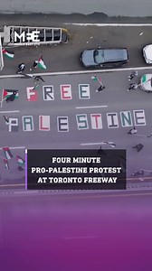 4.1K views · 488 reactions | Pro-Palestine activists held a four minute protest on the Gardiner Expressway in Toronto, Canada. Protesters held traffic for four minutes holding Palestinian flags and signs reading “Sorry to disturb, we will be done in 4 minutes”. | Middle East Eye | Facebook