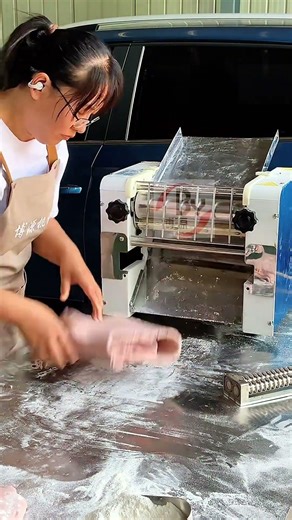 300 Pasta Press Machine#commercialnoodle machine#Plate rolling machine#fresh面机assembly line