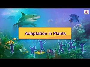 Detailed: Adaptations in Plants Video Lecture | Science Olympiad Class 4