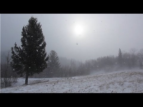 Relaxing Winter Wind 1 Hour / Snow Storm With Strong Wind