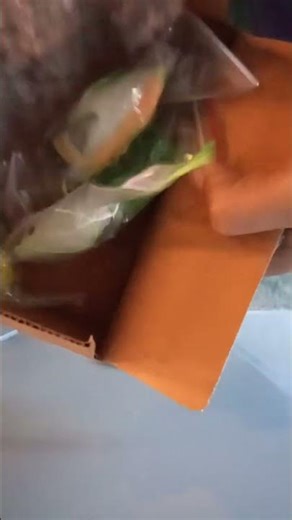 frog lure unboxing ? how to unboxing frog lure