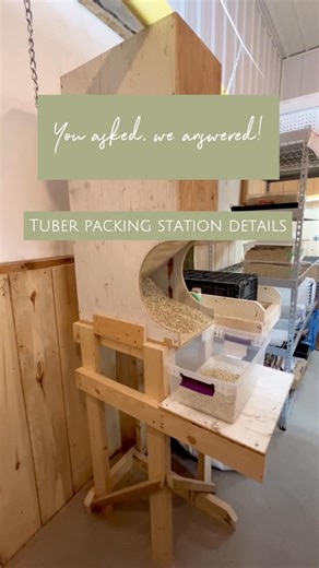 Greener Pastures Farm on Instagram: "I hope this helps answer your questions from our tuber packing station reel! Also, the inner board angle is 37 degrees. Just to clarify- Mitch made this in an afternoon with scraps lying around the farm, because a) he didn’t know if I would use it, and b) he along with everyone else, was unaware that it would go viral… 😂 #dahlias #dahliatubers"