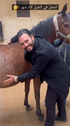 How many months is a horse's pregnancy? 🤔 #60Show_with_Dr_Hatem_Settin
