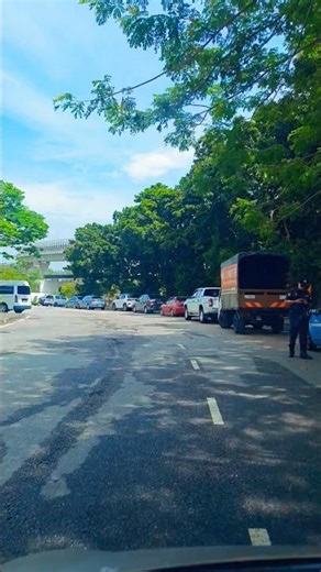 Nature Circle | morning drive ☀️🌳 #driving #nature #morning