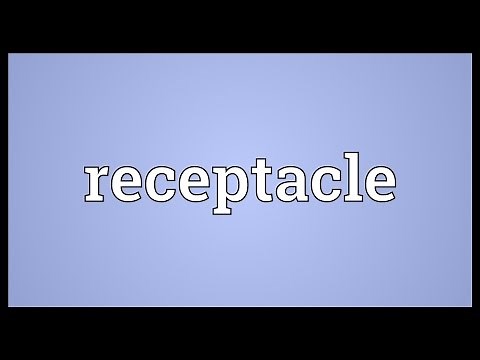 Receptacle Meaning