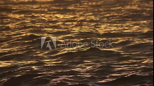 golden reflection, water, sea, reflection, sunset, wave, abstract, ocean, waves, sun, gold, surface, ripple, light, texture, nature, lake, liquid, blue, river, pattern, golden, color, summer, ripples,