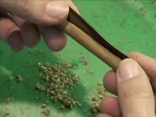 How-to roll a Cigarillo Blunt