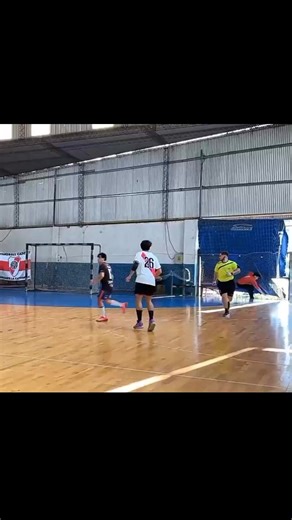 Goofy Handball Match Moments