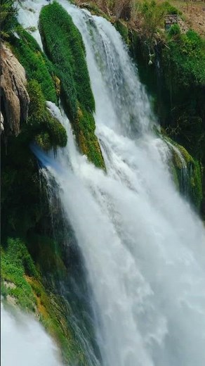 Waterfall in Nature 🌿 Pure Calm & Flowing Beauty #waterfallshorts #viralshorts