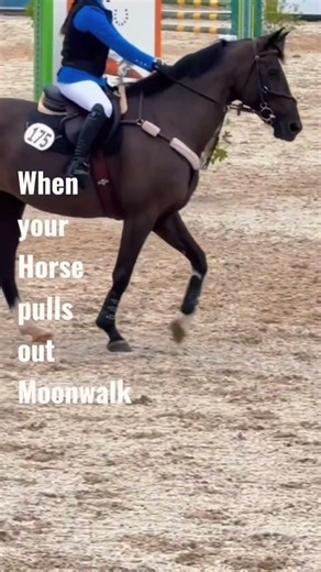 She’s js tuff ig 🤷‍♀️ #fypシ゚viral #horse #dontflop #equestrian #delta #deltadawn #showjumping