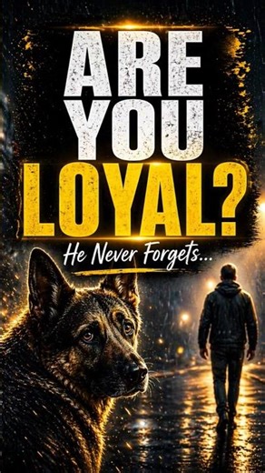 Dogs Never Forget You… But Do You? 🐶💔 | The Truth About Loyalty