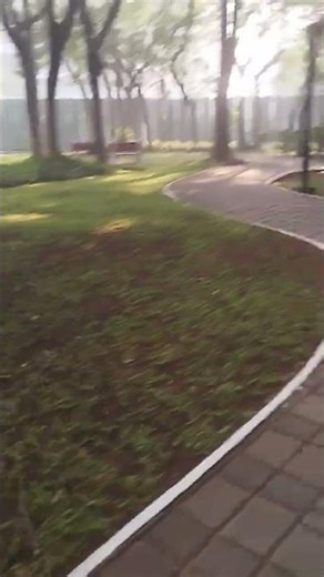 Feeling Matheran Vibes In Infosys campus 😁 #infosys #wintervibes #food #infosys