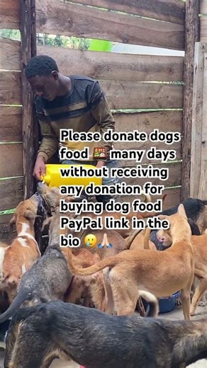 Please donate today comment random words#trending#dogfood#comment