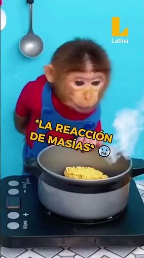 #ElGranChefFamosos 🫣 SOON TO FALL 💋😍