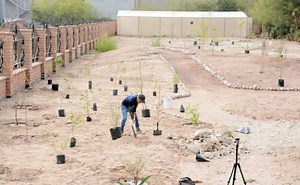 La riqueza biocultural de Sinaloa se siembra en Los Mochis