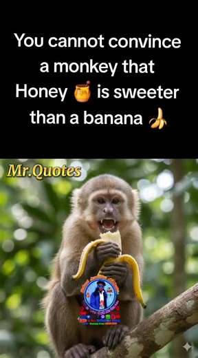 Inspirational Wisdom from Mr. Quotes