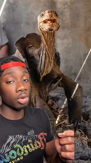 41K views · 2.5K reactions | Go Diego Go  | Mndia Ye | Facebook