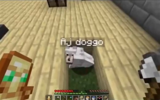 你会亲手干掉一直陪你的伙伴吗？