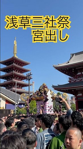 浅草寺境内に三基の神輿！三社祭 本社神輿 宮出し【浅草三社祭2026】 #祭り #日本文化