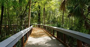 Hike or Bike Your Way Through Beautiful Ocala/Marion County | Ocala / Marion County Florida | Ocala / Marion County Florida