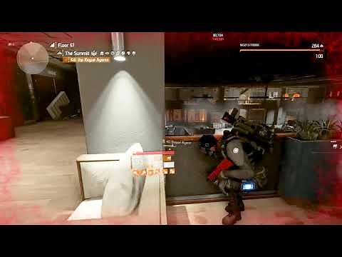 The Division 2: Memento Backpack (Summit targeted loot)