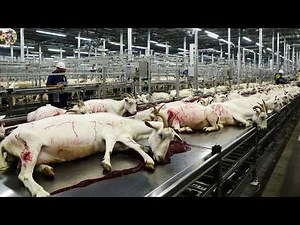 🐐 Millions Of Goat Are Processed This Way - Goat Processing Factory | Farming Documentary