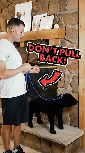 53K views · 1.1K reactions | One mistake that many people make is...