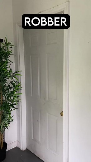 How dog breeds react to robbers #dogbreeds #dogs #dogbreedsoftiktok #dogsofttiktok #shibainu #fypシ゚viral #fypシ゚ #fyp #fyppage #fypシ゚viralシ #usa #mexico #australia #uk #canada | Jonny