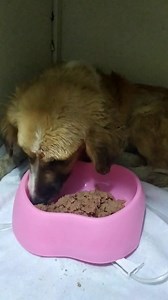 416K views · 10K reactions | ACTUALIZACIÓN DEL ESTADO DE REYNA...