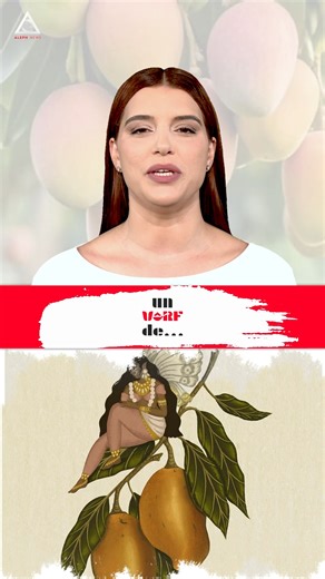 Un vârf de… Mango Mango-ul (Mangifera indica) este originar din Asia de Sud, unde este cultivat încă din jurul anului 2000 î.Hr. În mitologia hindusă, mango-ul este considerat un fruct sacru, dăruit oamenilor de către zei. #alephnews #unvarfde #mango | Aleph News