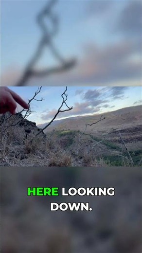Bloody Trail: Hunting a Wounded Goat in Darkness