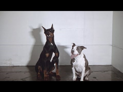 Anberlin "Two Graves" (Official Music Video)